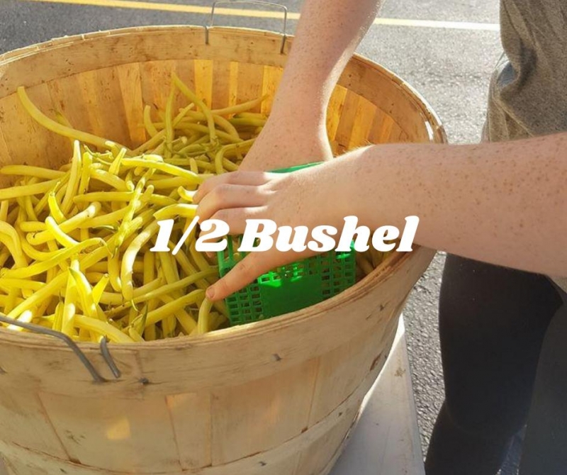 picture of 1/2 bushel of yellow beans
